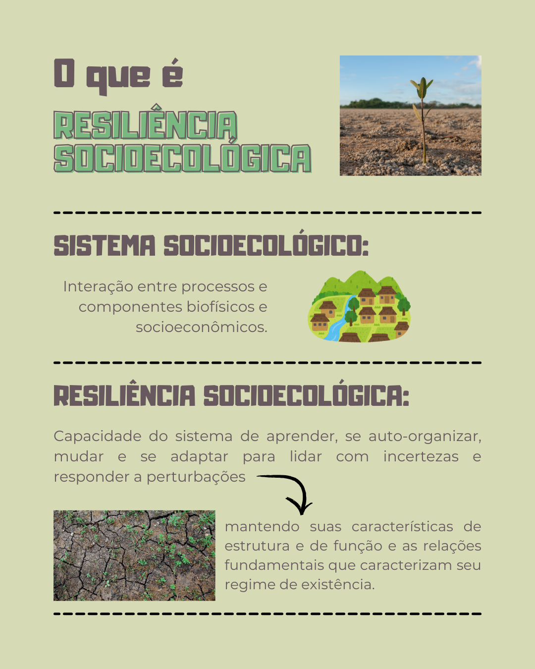 Representação da Resiliência Socioecológica